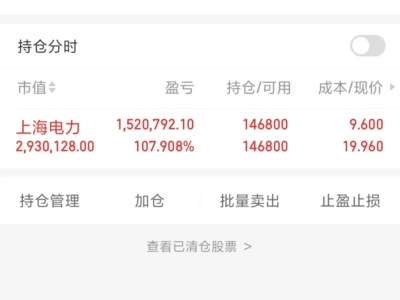 【上海电力:现在很优秀,未来更 “风光”】