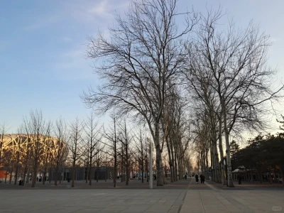 木禾投研 会员内容可分享