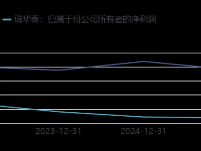 瑞华泰688323深度研报