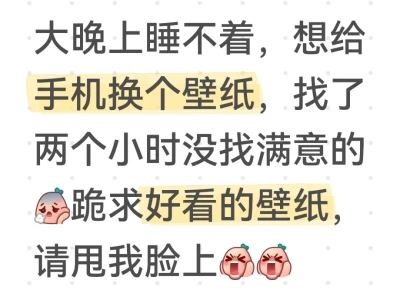 求好看的手机壁纸🤧