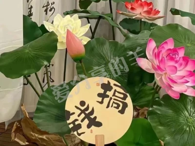 ☀适合夏日的荷花壁纸真的爱了!