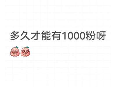 新号呀