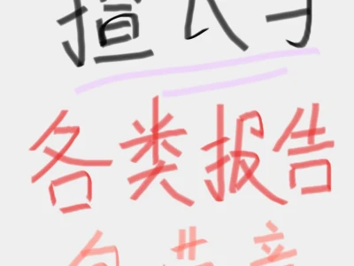各类分析报告代写!
