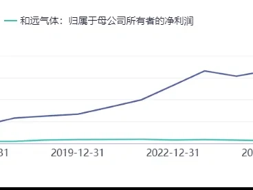 和远气体002971深度研报