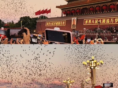 谁懂这个爱国壁纸