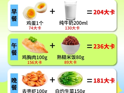 女/男500大卡轻断食+600大卡轻断食巨掉秤