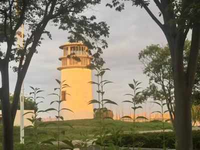 学习研报日常 今日不谈化工 杂谈“不死鸟”(七)