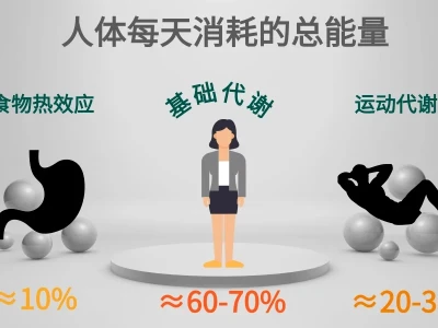 基础代谢率计算方式