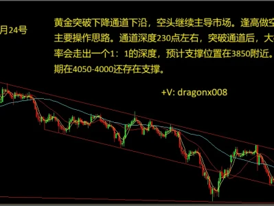 森林有话说 6月24号 黄金研报