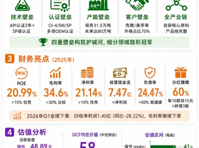 赛博巴菲特研报22:瑞丰新材(300910)