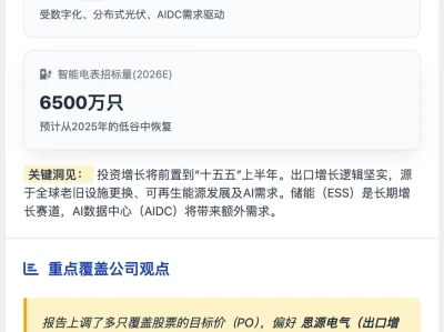 美银证券研报-深度解析中国AI电源基建,电网投资与储能爆发在即