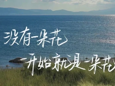 share,平板壁纸