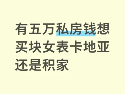 有五万私房钱想买块女表卡地亚还是积家
