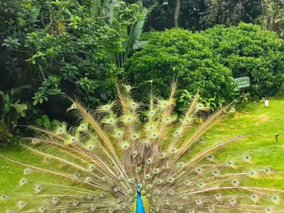 美我一脸