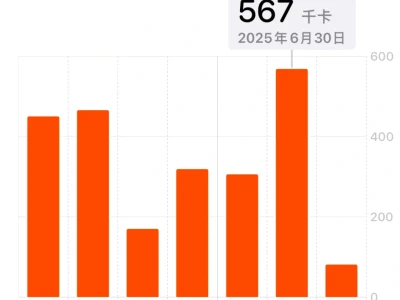 我和我的静息能量消耗🩰
