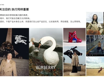 2024奢侈品行业报告