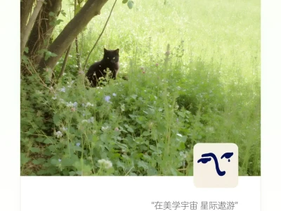 日里的的精灵₊ ⊹❀