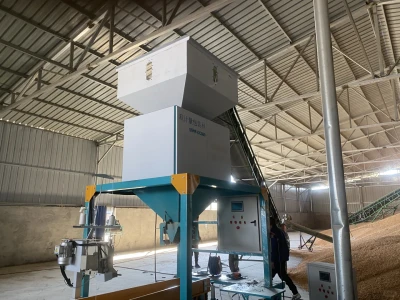 粮食行业前景分析报告