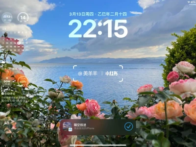 谁的手机有这么好看的壁纸呀~