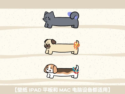 可爱小狗平板壁纸合集