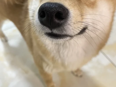 黑子说话！相亲说我像女t的出来！
