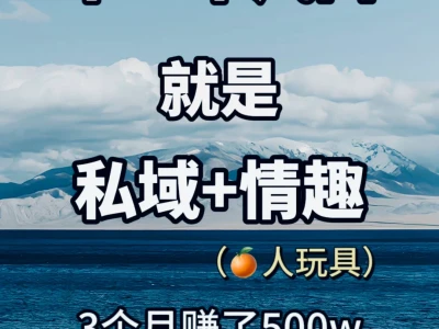 3个月内，在私域做情Q赚了500w