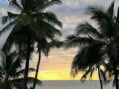 𝐒𝐡𝐚𝐫𝐞｜海岛度假壁纸