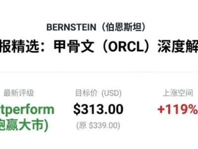 大行研报精读|BERNSTEIN:甲骨文 (ORCL) “AI 算力狂魔”,目标价$313,是“错杀”还是“抄底”?