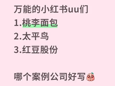 盈利能力分析论文！！