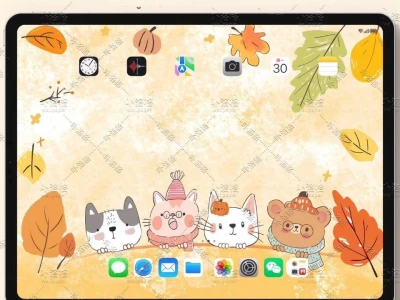你好秋天|iPad壁纸✨ 🍂