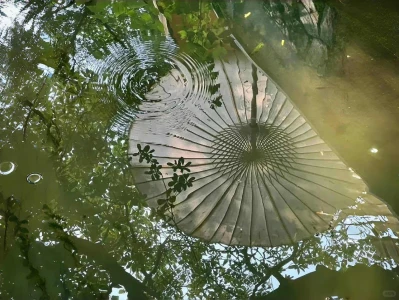 夏天就适合蓝色和绿色~平板壁纸第十六弹❗