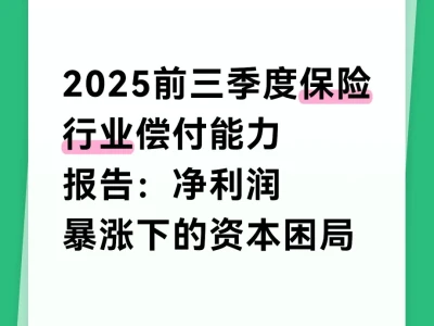 2025前三季度保险行业偿付能力报告