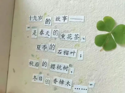 ins风|小众背景图（不用截评论区自取）