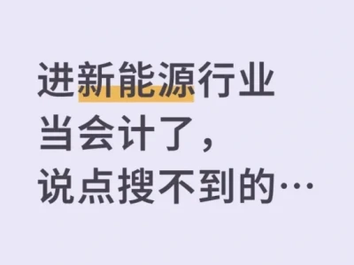 进新能源行业当会计了，说点搜不到的……
