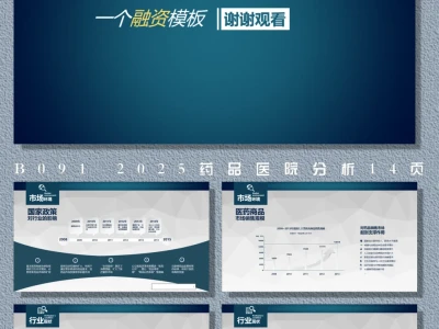 2025医药市场分析PPT｜14页行业洞察