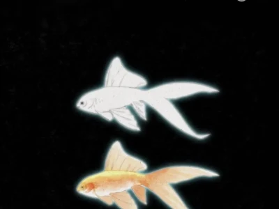 祝你愉快🎐𓈒𓂂  ∗⭒˚ 𓆝 𓆟  