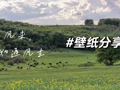 高清平板ipad桌面壁纸4