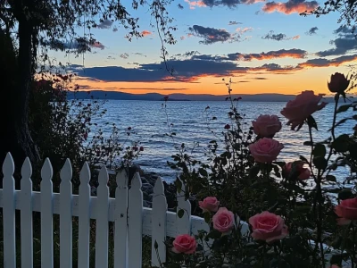 夜幕下的湖边花园花园夜景~