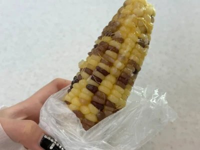 164/91小基数女生1500大卡在校维持的一天🥯