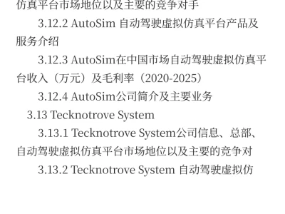 自动驾驶虚拟仿真平台中国行业预测2025