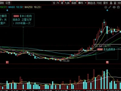 卫星化学(002648)2026 深度研报:轻烃龙头 + POE/α- 烯烃国产替代,业绩 + 估值双击