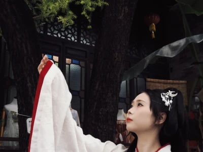 原谅我无法展现出动荡战国的破碎之感