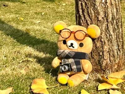 🍁🍂
