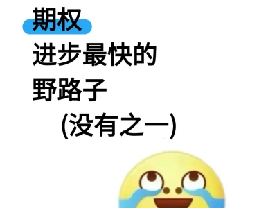 个人认为期权进步最快的野路子（没有之一）