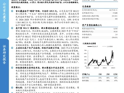 研报丨国泰海通证券:高可靠MLCC核心供应商,多点开花驱动业绩增长