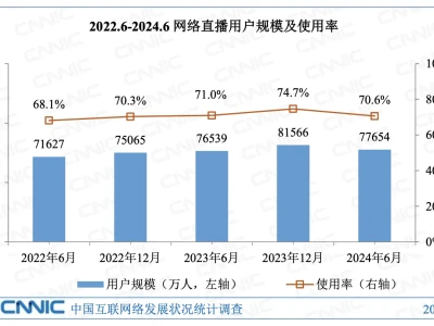 第54次《中国互联网络发展状况统计报告》