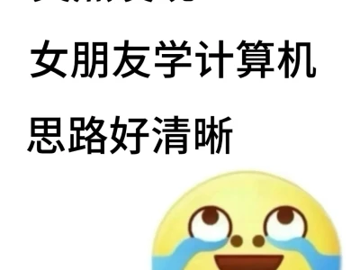突然发现女朋友学计算机思路好清晰!