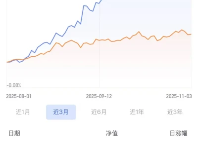 AI 的顶游是储能