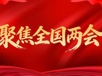 A股研报 | 紫光国微和紫光股份综合对比分析
