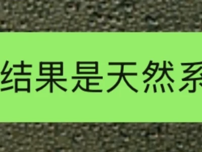 说沈星回是天然系的云姐